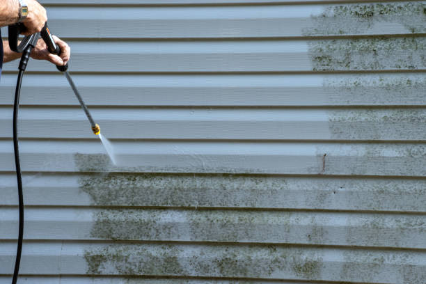 Affordable siding repair and maintenance services in West Monroe, MI