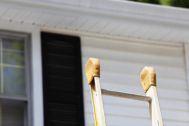 Best Residential Vinyl Siding Installation  in West Monroe, MI